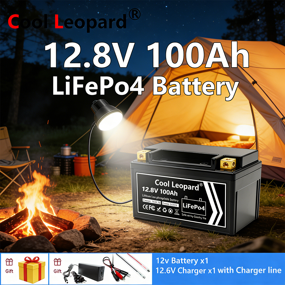 Lightweight 12V 100Ah LiFePO4  - Fish Finder Charger ulasan dan harga