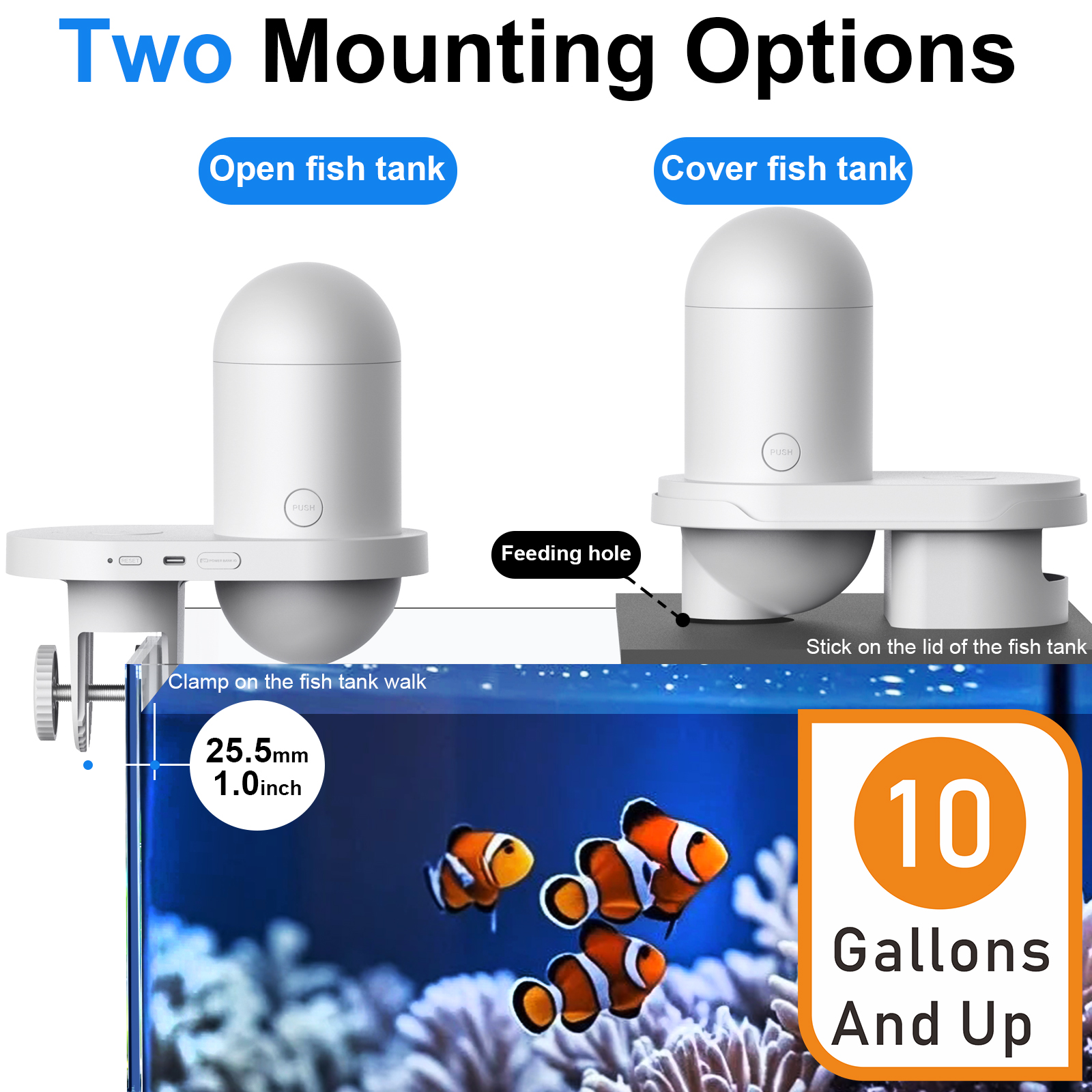 Automatic Fish Feeder With Cam - Fishing Camera ulasan dan harga