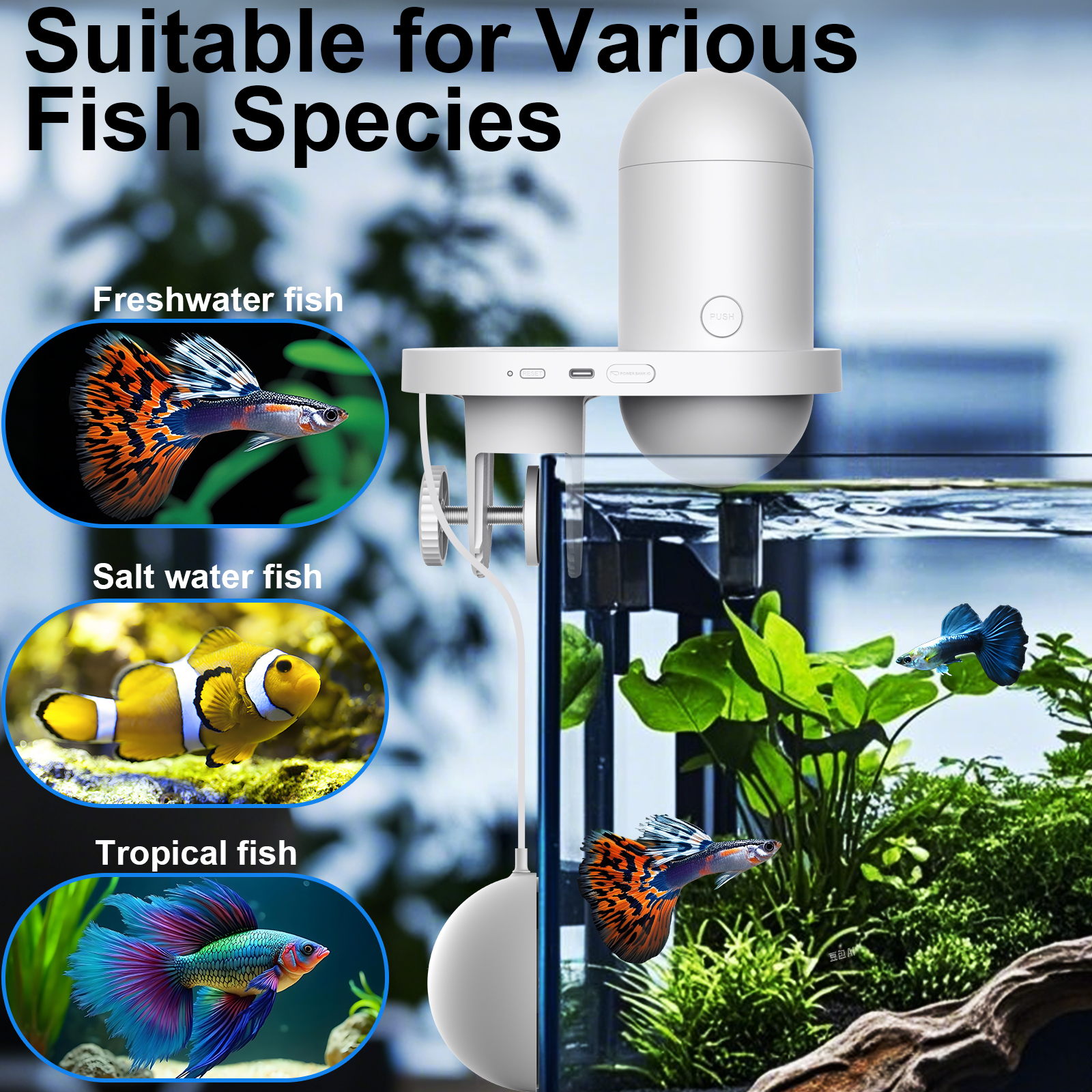 Automatic Fish Feeder With Cam - Fishing Camera ulasan dan harga